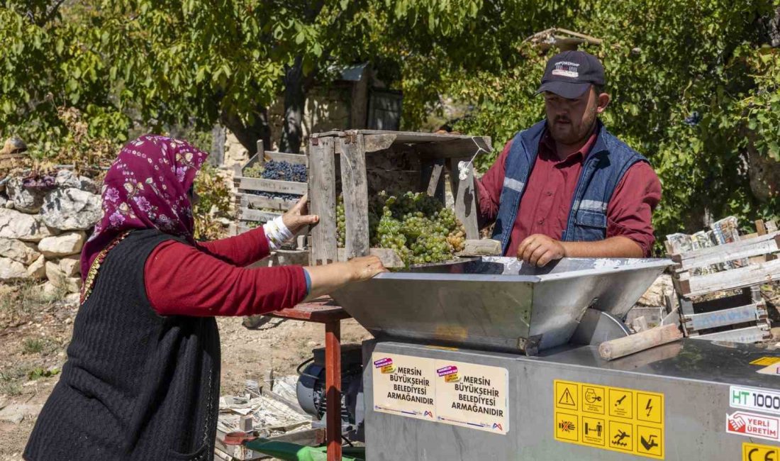 MERSİN BÜYÜKŞEHİR BELEDİYESİ TARIMSAL HİZMETLER DAİRESİ BAŞKANLIĞI, TARIMSAL ÜRETİMİN YAYGINLAŞTIRILMASI