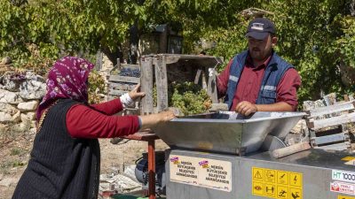 MERSİN BÜYÜKŞEHİR BELEDİYESİ TARIMSAL HİZMETLER DAİRESİ BAŞKANLIĞI, TARIMSAL ÜRETİMİN YAYGINLAŞTIRILMASI