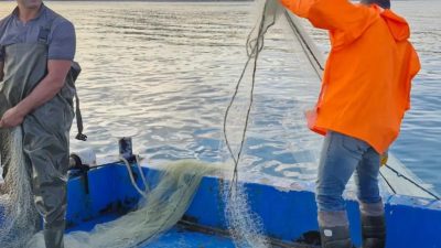 ELAZIĞ SU ÜRÜNLERİ ARAŞTIRMA ENSTİTÜSÜ MÜDÜRLÜĞÜ TARAFINDAN VAN GÖLÜNDE 