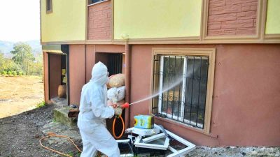 SAMSUN'DA MAHALLELİ BİR ARAYA GELEREK SATIN ALDIĞI İLAÇLA KAHVERENGİ KOKARCA