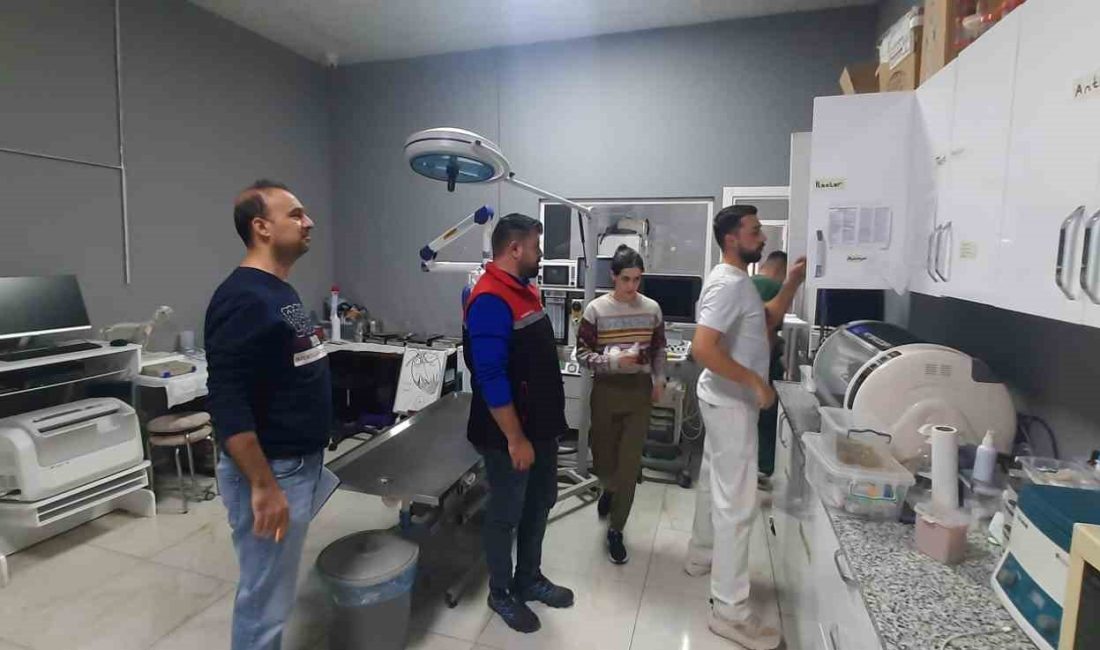 ESKİŞEHİR İLİ GENELİNDE FAALİYETTE BULUNAN RUHSATLI SERBEST VETERİNER HEKİM KLİNİK,