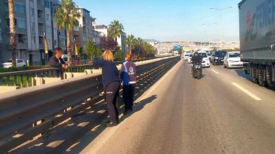 SAMSUN'DA VİYADÜK ÜSTÜNE ÇIKARAK İNTİHAR GİRİŞİMİNDE BULUNAN VATANDAŞI, CANİK BELEDİYESİ