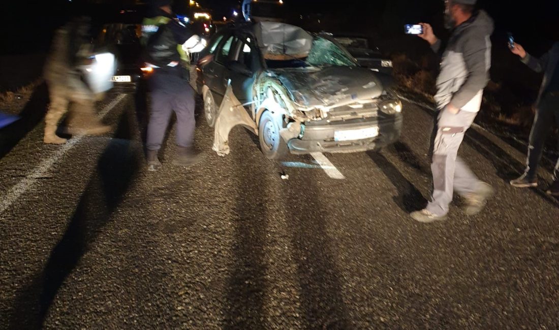 ELAZIĞ'DA YOLA ÇIKAN İNEĞE ÇARPAN OTOMOBİLDE BULUNAN 2'Sİ AĞIR 3