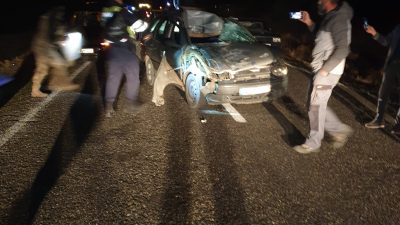 ELAZIĞ'DA YOLA ÇIKAN İNEĞE ÇARPAN OTOMOBİLDE BULUNAN 2'Sİ AĞIR 3