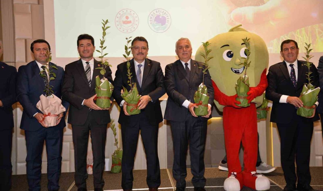TRABZON’UN YOMRA İLÇESİNDE YOMRA BELEDİYESİ TARAFINDAN ‘HER EVİN BAHÇESİNDE BİR
