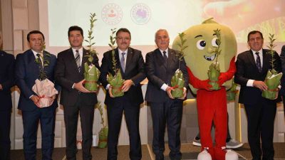 TRABZON’UN YOMRA İLÇESİNDE YOMRA BELEDİYESİ TARAFINDAN ‘HER EVİN BAHÇESİNDE BİR