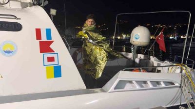 YÜZEREK KARŞIYA GEÇMEYE ÇALIŞTI