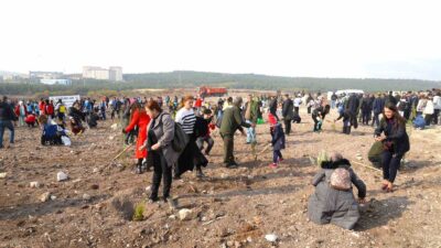 11 Kasım Milli Ağaçlandırma Günü kapsamında Bursa Uludağ Üniversitesi’nde (BUÜ)