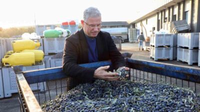 Mudanya, asırlardır bereketin simgesi olan zeytinle turizmi birleştirerek marka şehir