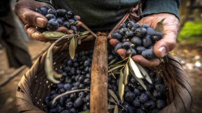 Gemlik Belediyesi ve Bursa Fotoğraf Sanatları Derneği (BUFSAD) işbirliğiyle üçüncüsü