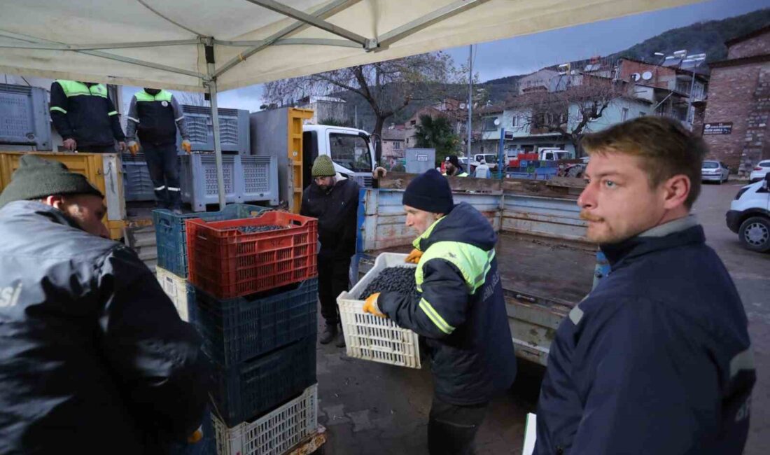 Gemlik Belediyesi, tarıma olan desteğini her geçen gün artırmaya devam