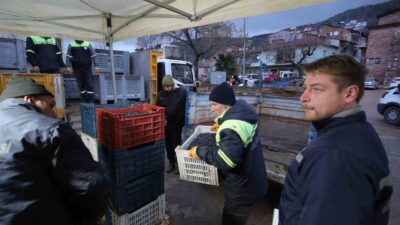 Gemlik Belediyesi, tarıma olan desteğini her geçen gün artırmaya devam