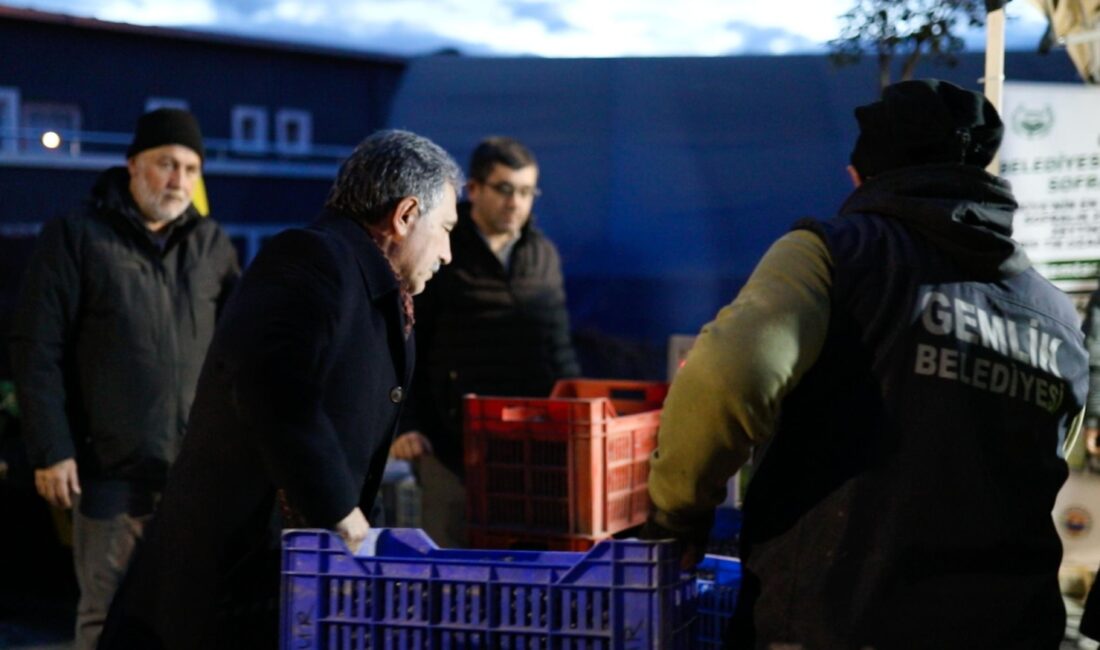 Gemlik Belediyesi, bu yıl da zeytin üreticilerine önemli bir destek