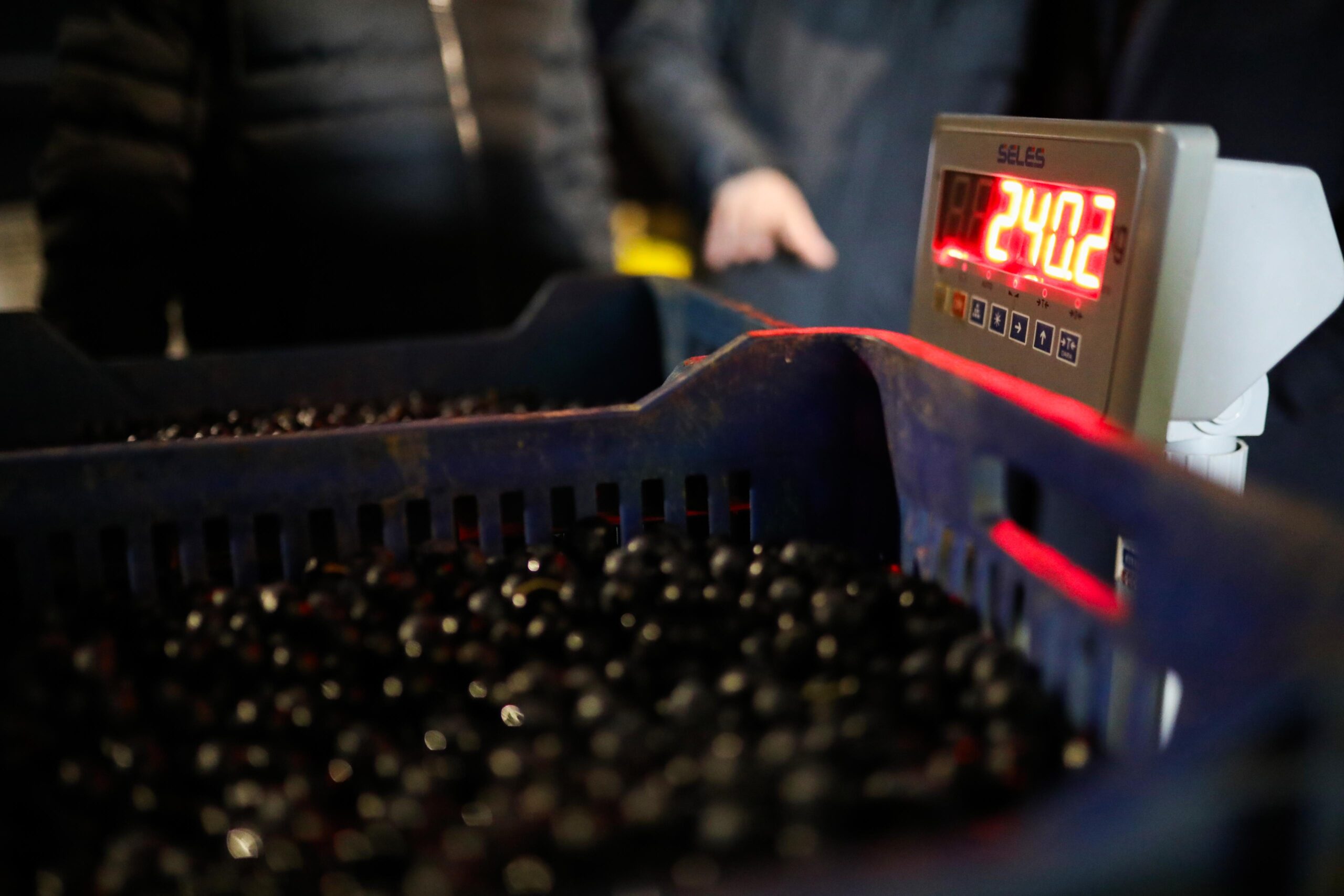 Gemlik Belediyesiden Zeytin Ureticisine 3 Milyon Liralik Destek 7 scaled