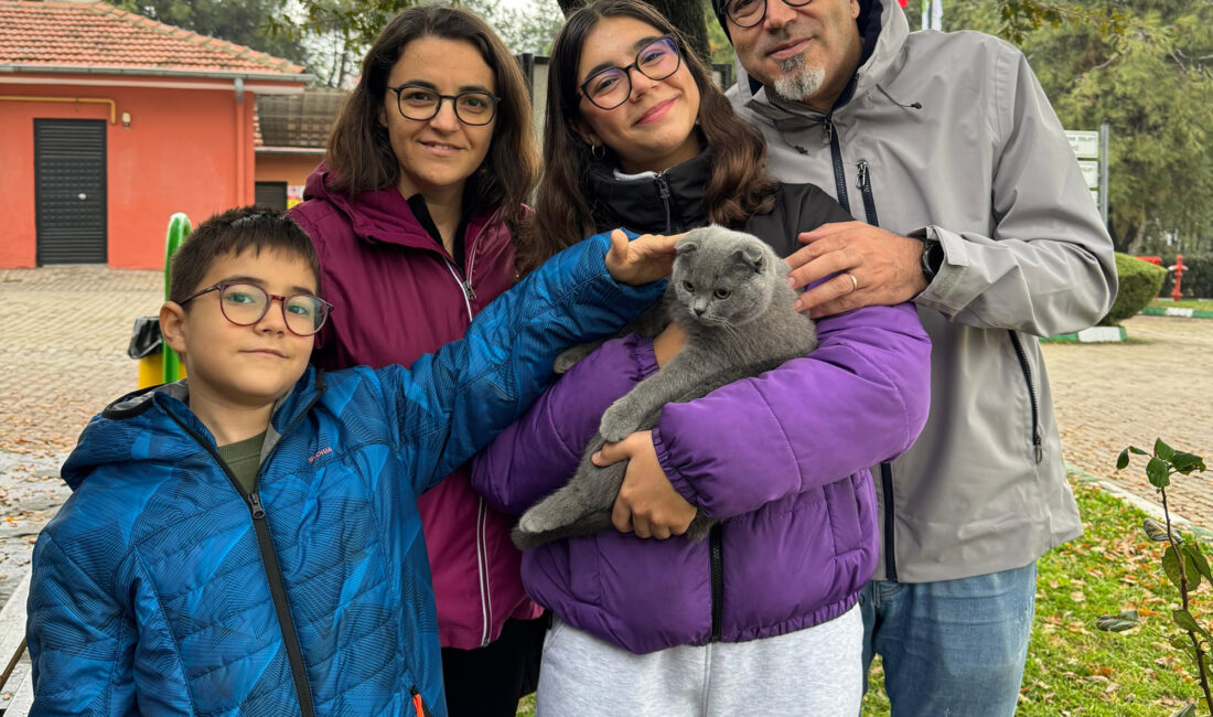 Osmangazi Belediyesi, 2024 yılında 693 kedi ve köpeğin yeni yuvalara