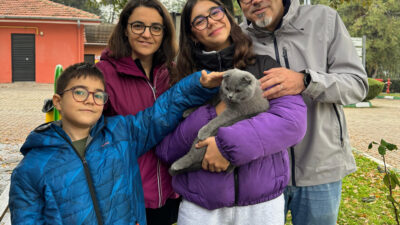 Osmangazi Belediyesi, 2024 yılında 693 kedi ve köpeğin yeni yuvalara