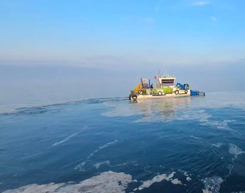 BURULAŞ, Mudanya ve Gemlik Körfezi’nde meydana gelen müsilaj sorunu için