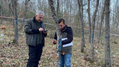 Bursa Orman Bölge Müdürlüğü ekipleri, ormanların sağlıklı gelişimlerini takip etmek