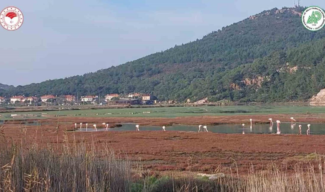 Doğa Koruma ve Milli Parklar 2. Bölge Müdürlüğü tarafından Bursa