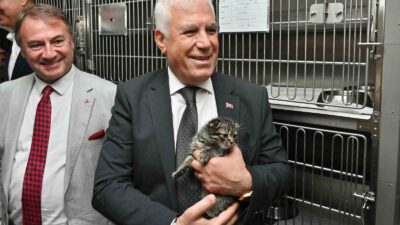 Bursa Büyükşehir Belediyesi’nin sahipsiz sokak hayvanlarını sıcak bir yuvada buluşturduğu