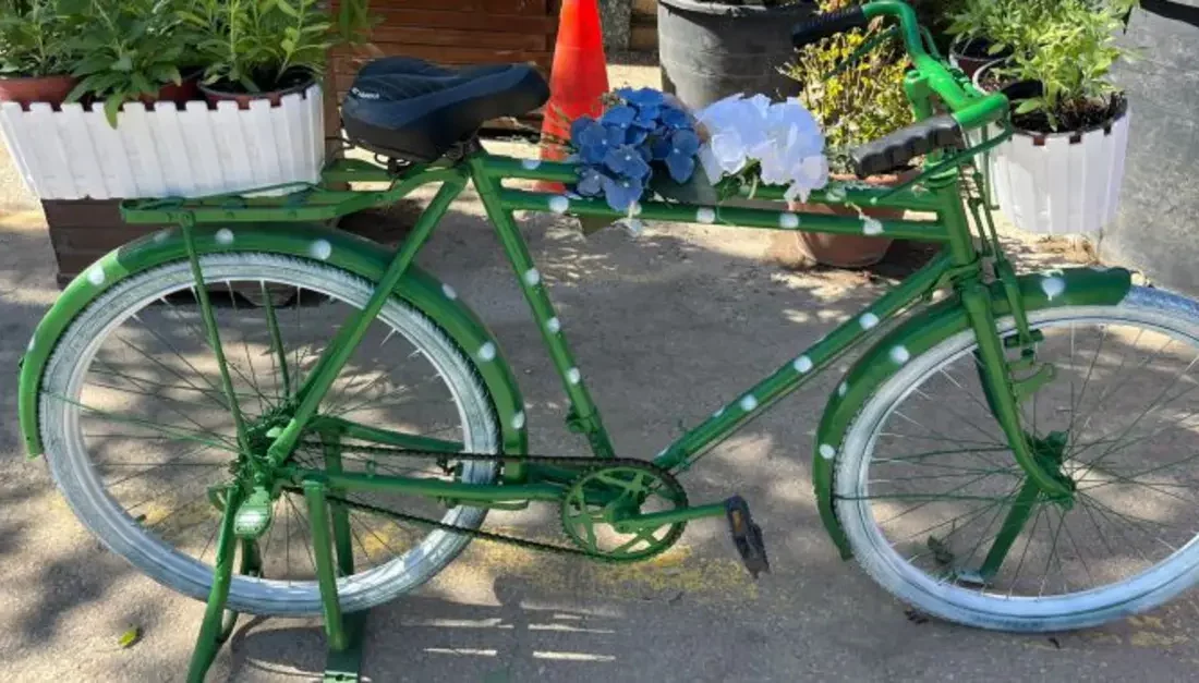 Marmara Denizi’nde ve sahillerinde yapılan temizlik çalışmalarında toplanan plastik şişeler,