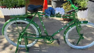 Marmara Denizi’nde ve sahillerinde yapılan temizlik çalışmalarında toplanan plastik şişeler,