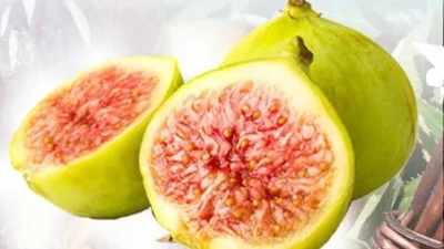 Balıkesir Büyükşehir Belediyesi Kırsal Hizmetler Dairesi Başkanlığı tarafından üreticiyi desteklemek,