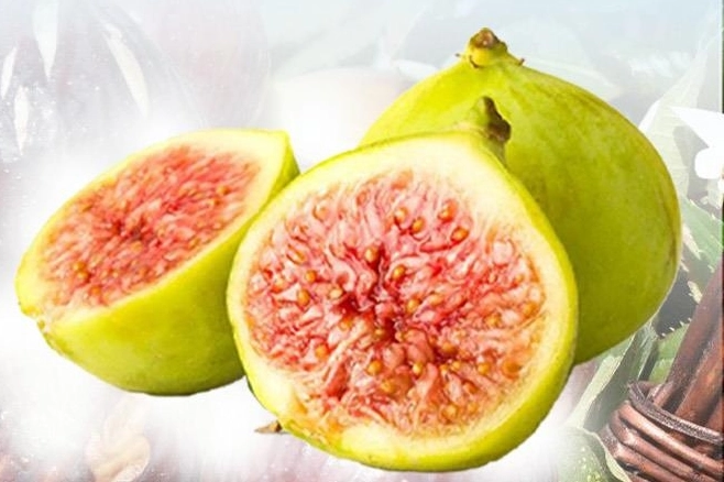 Balıkesir Büyükşehir Belediyesi Kırsal Hizmetler Dairesi Başkanlığı tarafından üreticiyi desteklemek,