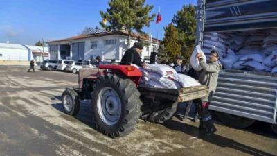 Ankara Büyükşehir Belediyesi, yüzde 50 hibe ile nohut tohumu desteğini