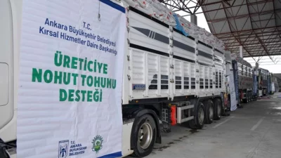 Ankara Büyükşehir Belediyesi, yüzde 50 hibe ile nohut tohumu desteğini