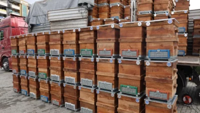 Bursa Büyükşehir Belediyesi, kırsal kalkınmanın sağlanması, daha kaliteli üretim ve