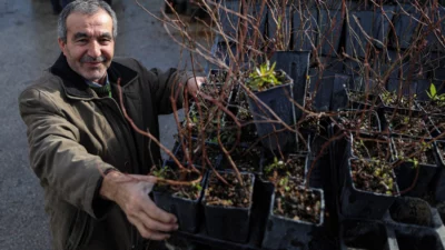 Bursa’da her alanda üreticinin yanında olan Bursa Büyükşehir Belediyesi, kırsal