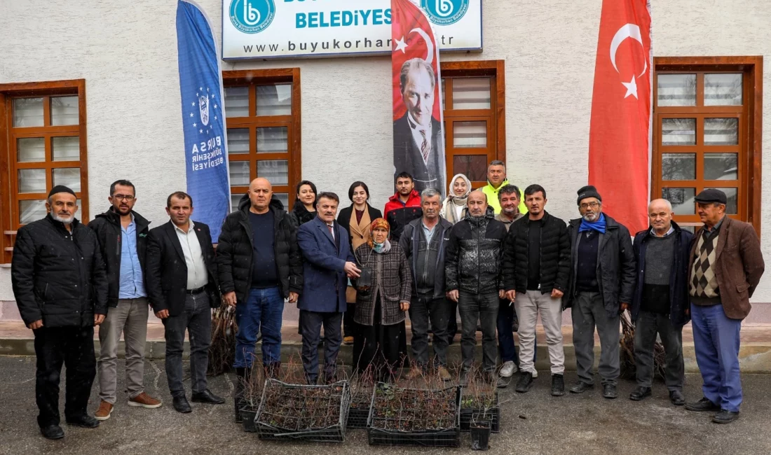 Bursa Büyükşehir Belediyesi, kırsal kalkınma hedefleri doğrultusunda üreticiye fide-fidan ve