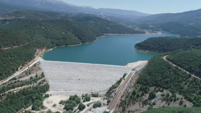 Tarım ve Orman Bakanlığı Devlet Su İşleri (DSİ) Genel Müdürü