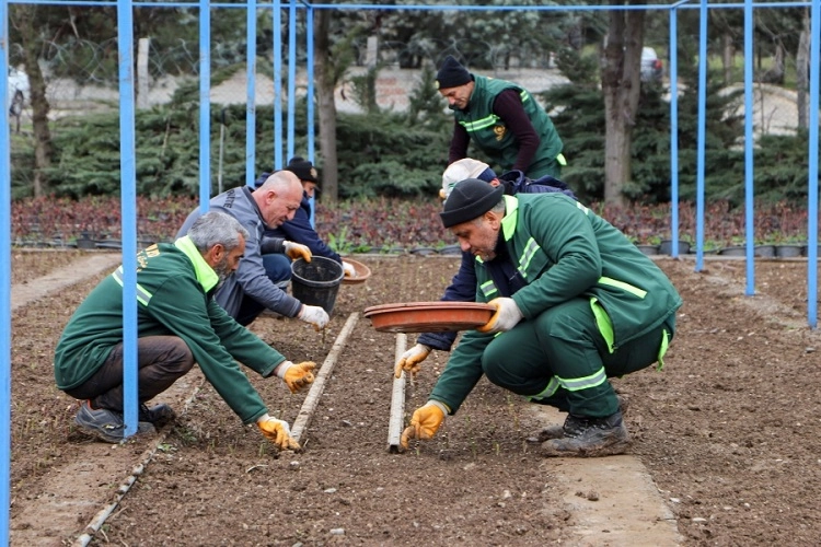 Diyarbakır Büyükşehir Belediyesi, yeşil alanlardan topladığı çelikleri fidan haline dönüştürerek