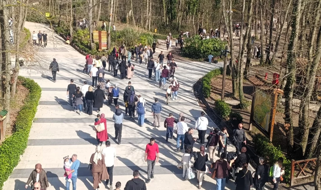 Kocaeli Büyükşehir Belediyesi’ne bağlı hizmet veren Ormanya Doğal Yaşam Parkı,