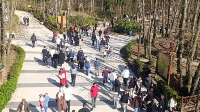 Kocaeli Büyükşehir Belediyesi’ne bağlı hizmet veren Ormanya Doğal Yaşam Parkı,