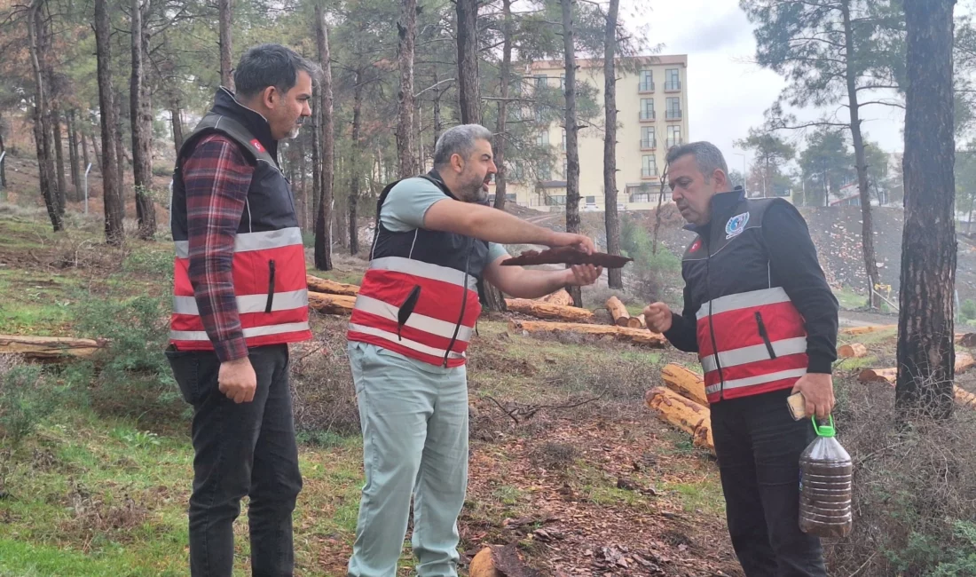 Hatay Tabiatı Koruma Derneği, ormanlık alanlarda yapılan mücbir ağaç kesimlerinin