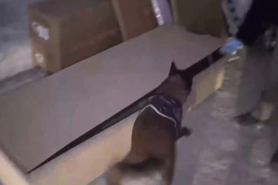 İstanbul’da polis, kahveye gizlenmiş metamfetamin ve eroinle yakaladı. 4 kişi