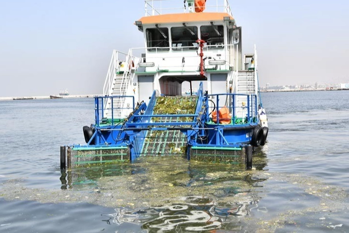Gediz Nehri’nden gelen sanayi kaynaklı kirlilik, İzmir körfezini kirletmeye devam