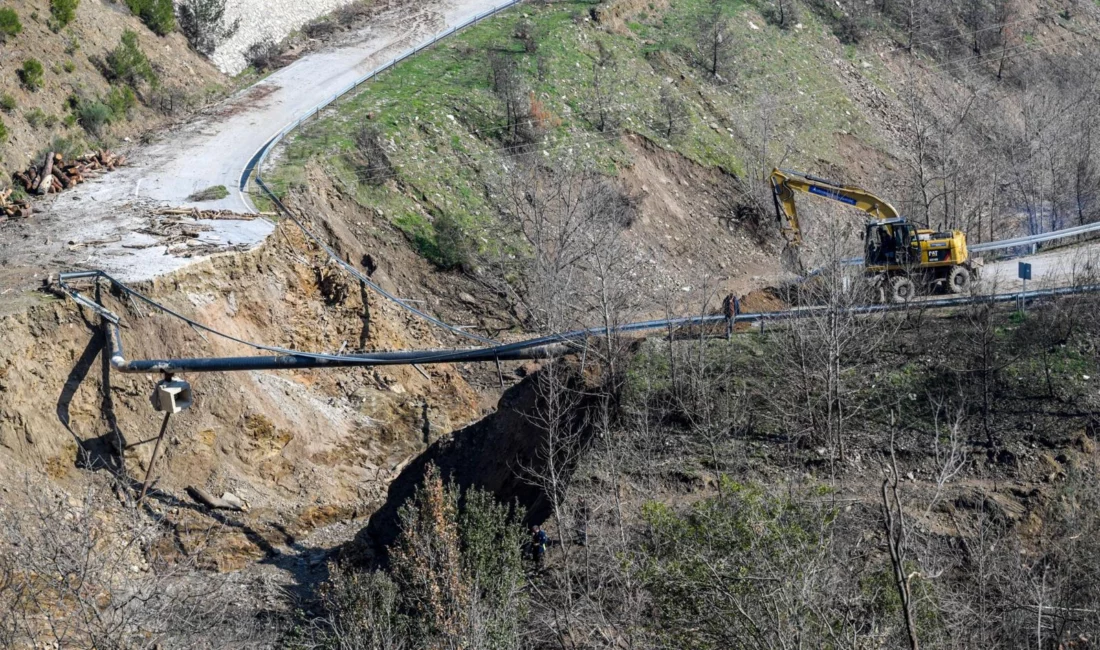 İzmir Büyükşehir Belediyesi, Ödemiş’te Çamyayla-Horzum yolunda orman yangınlarının ardından kesilen