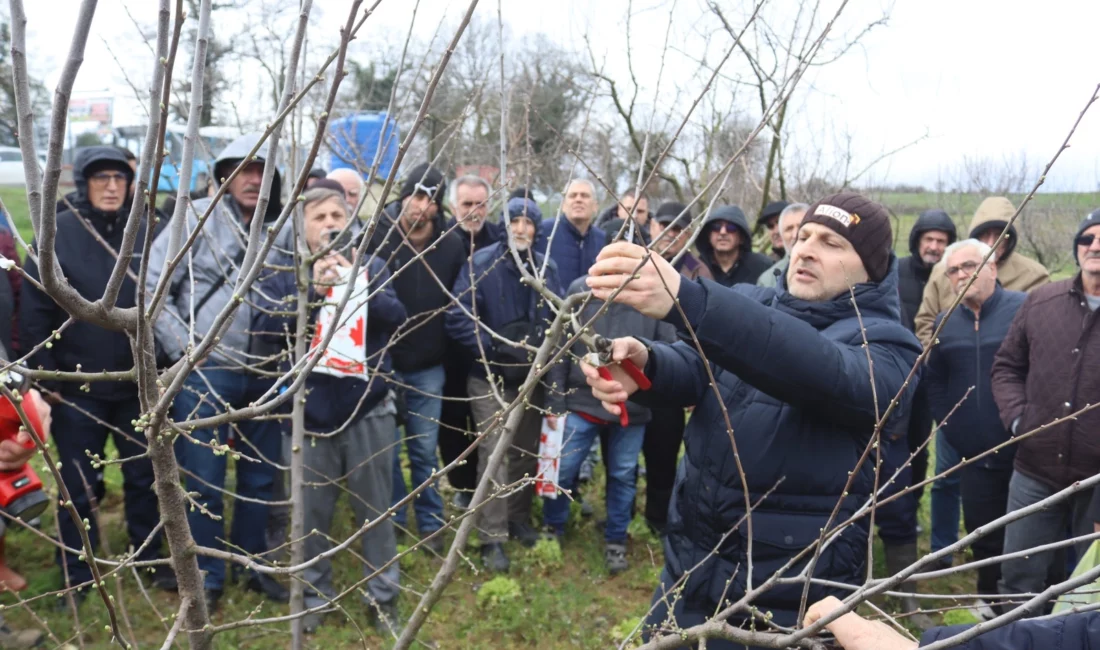 İzmit Belediyesinin meyve yetiştiricilerine yönelik düzenlediği budama eğitiminin ardından katılımcılara