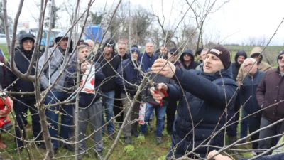 İzmit Belediyesinin meyve yetiştiricilerine yönelik düzenlediği budama eğitiminin ardından katılımcılara