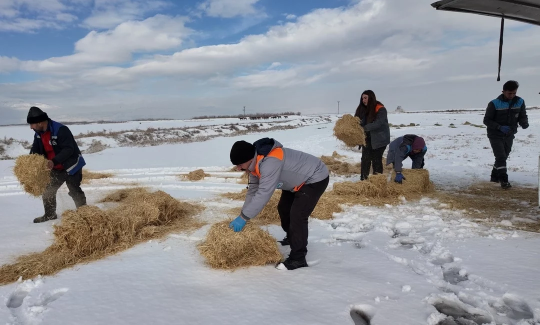 Yoğun kar yağışının etkili olduğu Kayseri’de Büyükşehir Belediyesi ekipleri, farklı