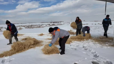 Yoğun kar yağışının etkili olduğu Kayseri’de Büyükşehir Belediyesi ekipleri, farklı
