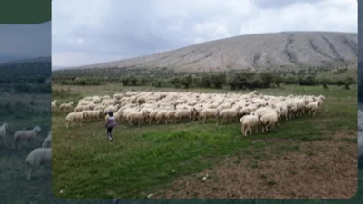 Kırsalda üretimi artırmak ve aile işletmelerini güçlendirmek amacıyla hayata geçirilen