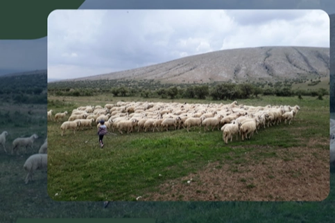 Kırsalda üretimi artırmak ve aile işletmelerini güçlendirmek amacıyla hayata geçirilen
