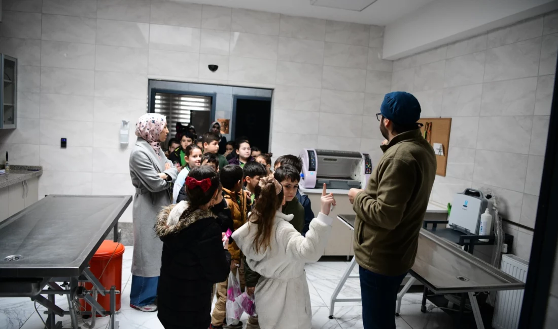 Kocaeli Çayırova Belediyesi Sokak Hayvanları Bakımevi ve Rehabilitasyon Merkezi, minik