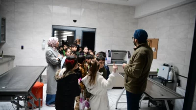 Kocaeli Çayırova Belediyesi Sokak Hayvanları Bakımevi ve Rehabilitasyon Merkezi, minik