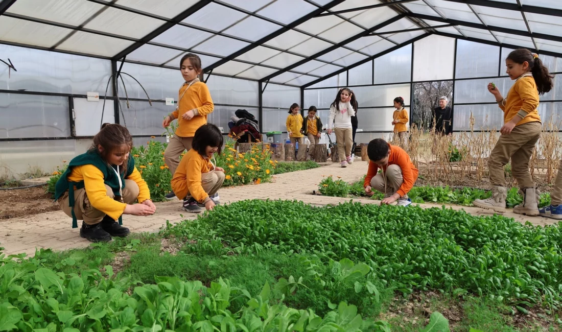 Konya Karatay Belediyesi tarafından hayata geçirilen Karatay Tabiat Mektebi’nde ikinci